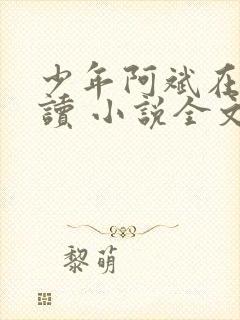 少年阿斌在线阅读 小说全文免费