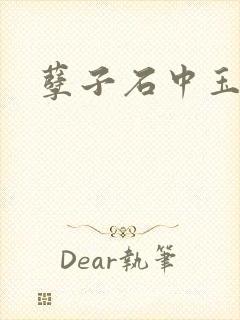 孽子石中玉