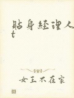 贴身经理人txt