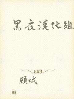 黑夜汉化组