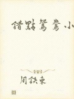 错点鸳鸯小说