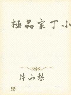 极品家丁小说