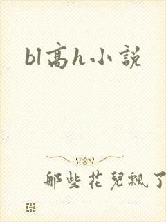 bl高h小说