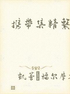 携带集精系统