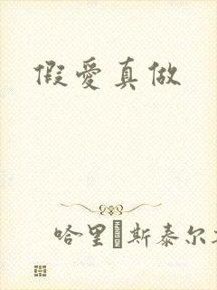 假爱真做