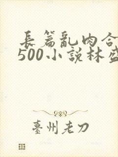 长篇乱肉合集乱500小说林盛封面