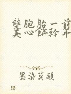 双胞胎一前一后夹心饼干年下