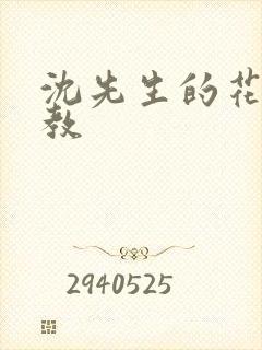 沈先生的花式管教封面