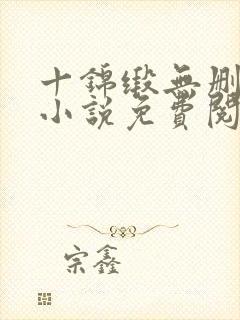 十锦缎无删原著小说免费阅读封面