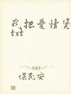 我把爱情煲成汤txt