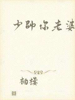少帅你老婆