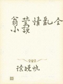 翁莹情乱全部篇小说封面