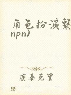 角色扮演系统(npn)