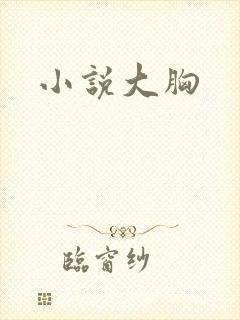 小说大胸