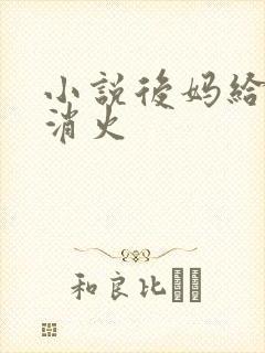 小说后妈给我消消火
