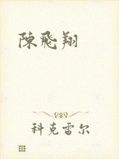 陈飞翔封面