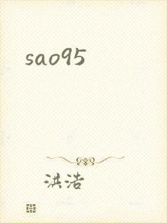 sao95封面