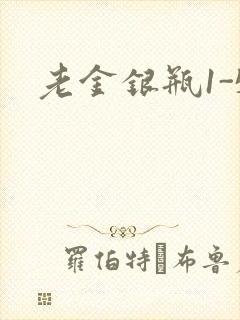 老金银瓶1-5