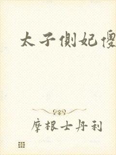 太子侧妃傻乎乎