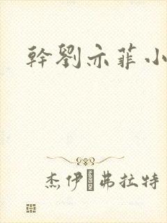 干刘亦菲小说