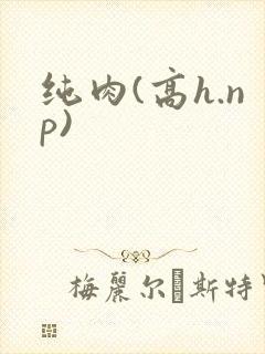 纯肉(高h.np)