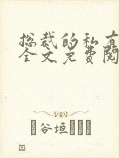 总裁的私有宝贝全文免费阅读
