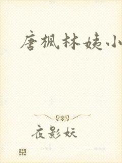 唐枫林姨小说