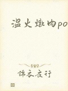 温火炖肉pop