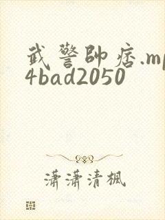 武警帅痞.mp4bad2050