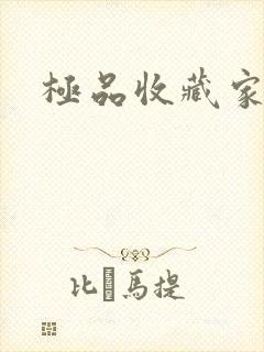 极品收藏家