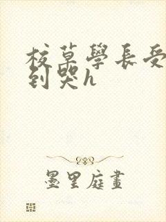 校草学长受被做到哭h