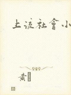 上流社会小说封面