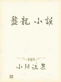 盘龙 小说
