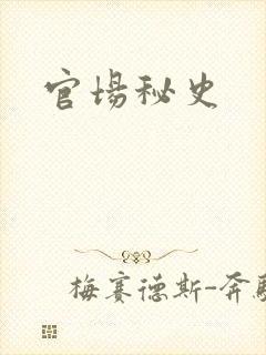 官场秘史