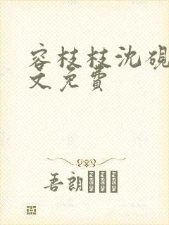 容枝枝沈砚书全文免费