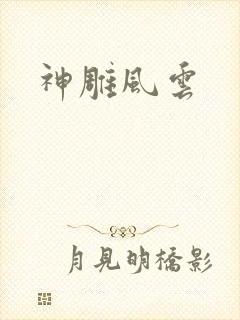 神雕风云