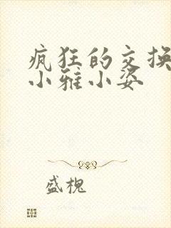 疯狂的交换小静小雅小姿