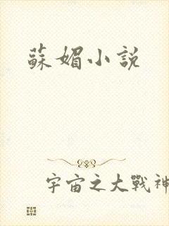 苏媚小说封面