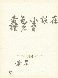 黄色小说在线阅读免费