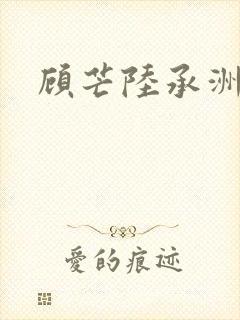 顾芒陆承洲
