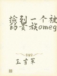 捡到一个被抹布的贵族omega