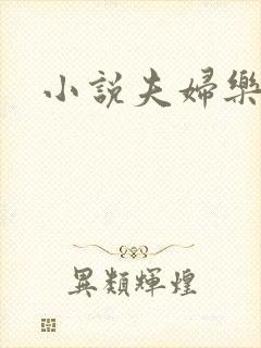 小说夫妇乐园封面
