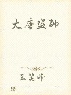 大唐盗帅