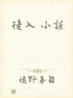 后入 小说