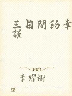 三日间的幸福小说封面