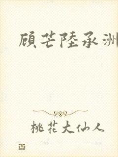 顾芒陆承洲