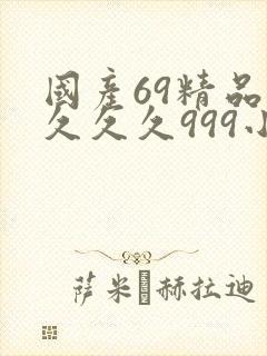 国产69精品久久久久999小说封面