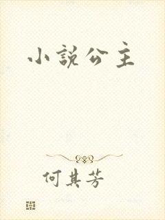 小说公主封面