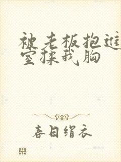 被老板抱进办公室揉我胸
