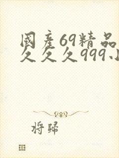国产69精品久久久久999小说封面